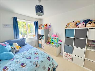 Picture 12